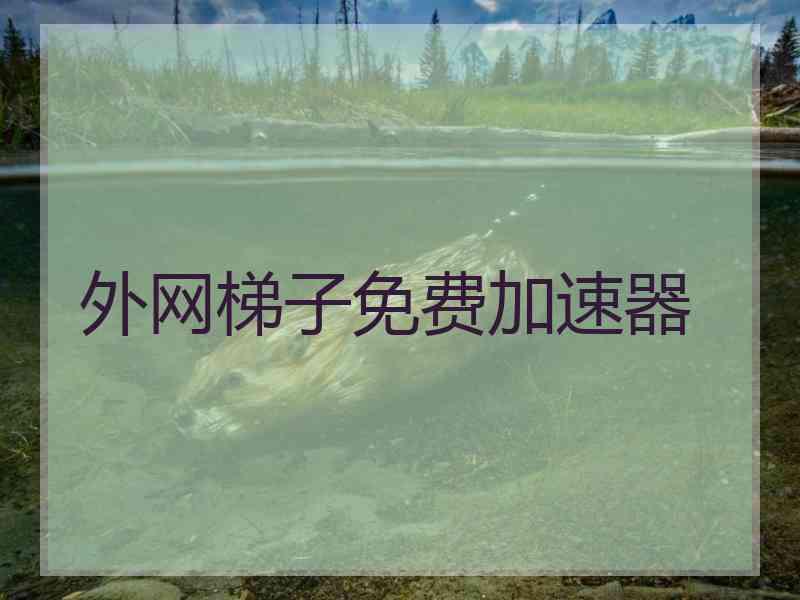 外网梯子免费加速器