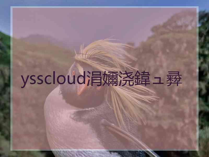 ysscloud涓嬭浇鍏ュ彛