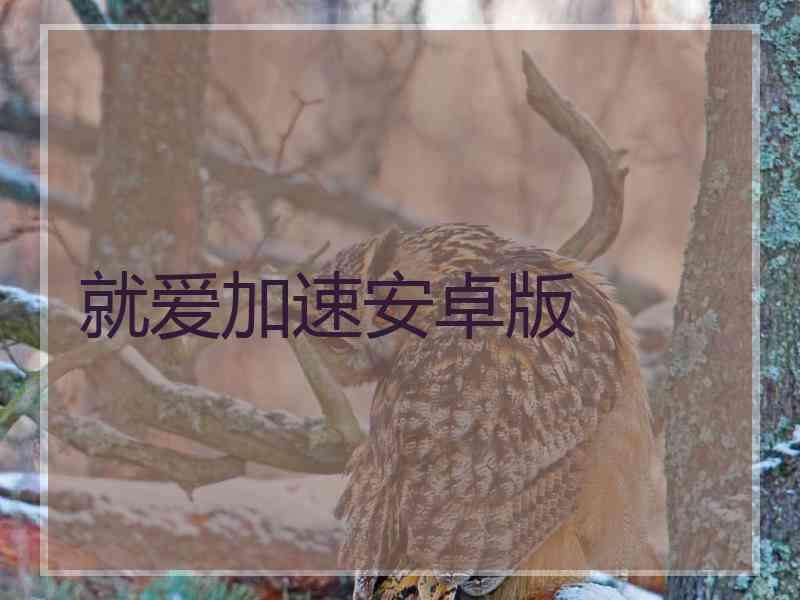 就爱加速安卓版