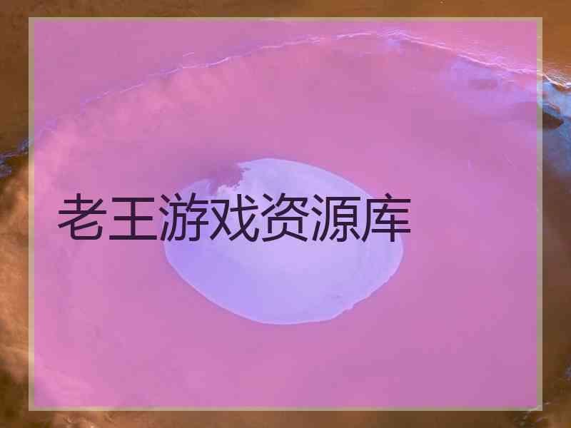 老王游戏资源库