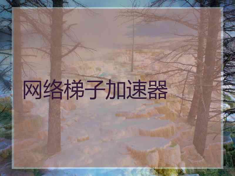 网络梯子加速器
