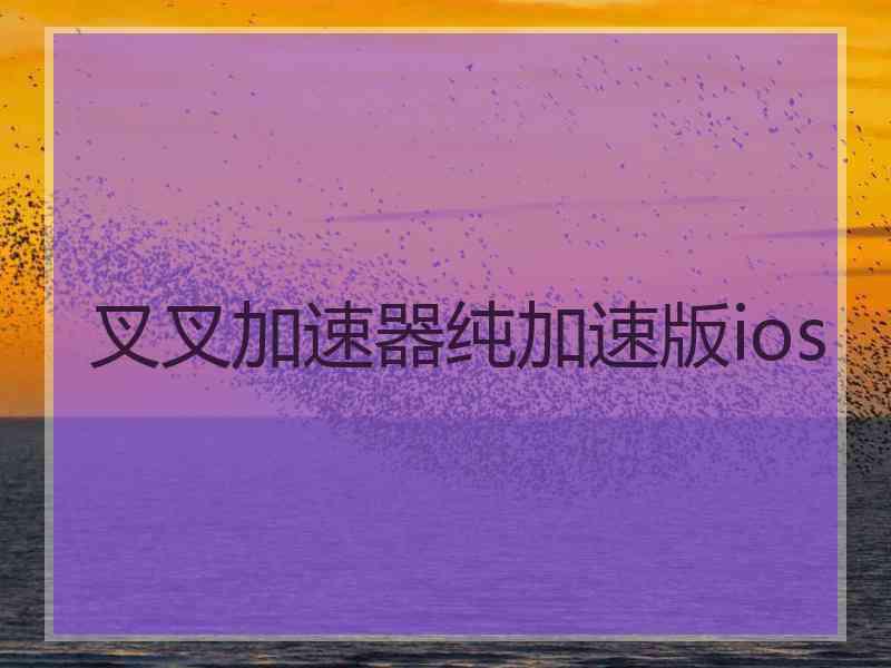 叉叉加速器纯加速版ios
