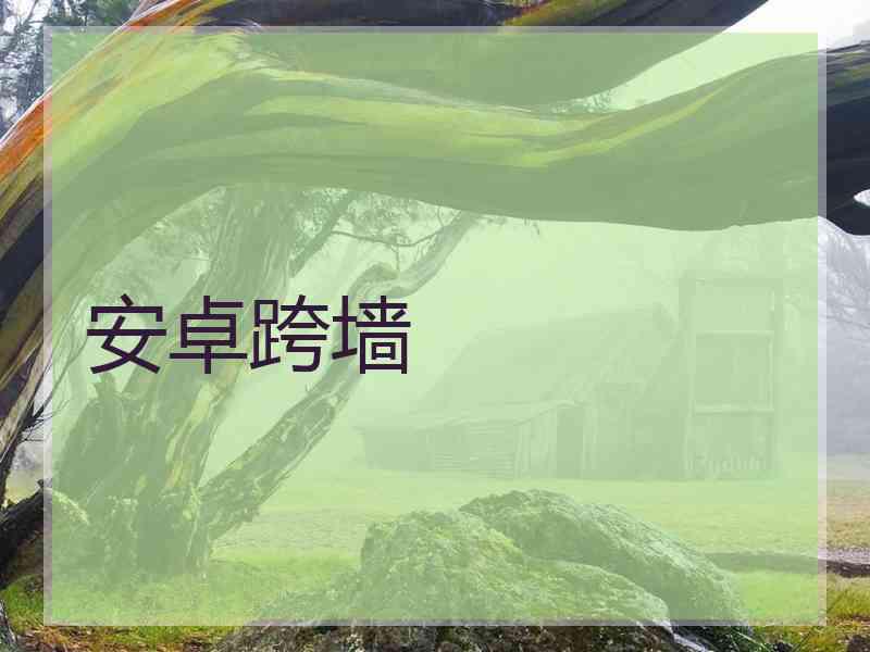 安卓跨墙