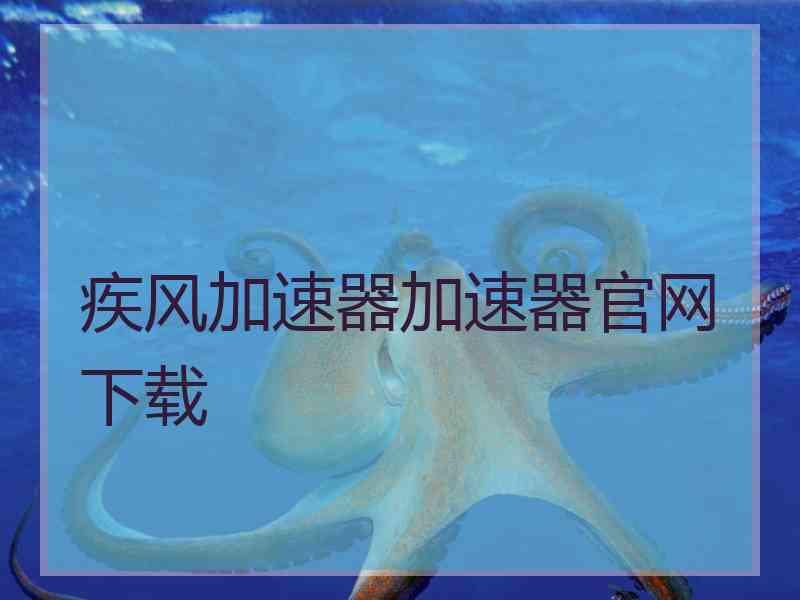 疾风加速器加速器官网下载