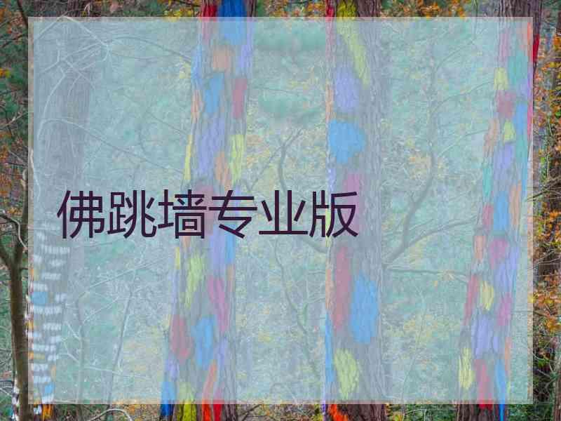 佛跳墙专业版
