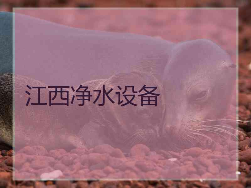 江西净水设备