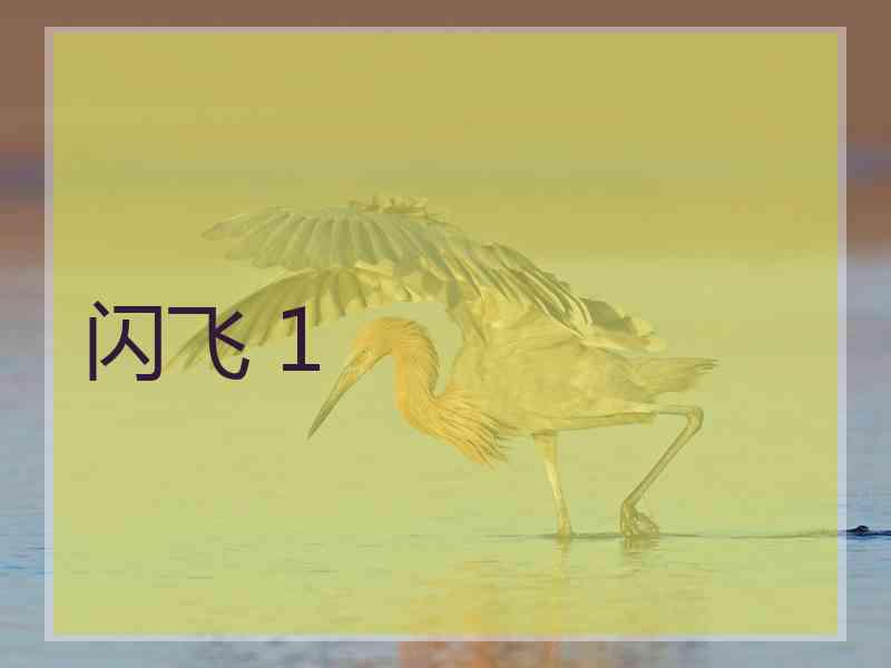闪飞 1