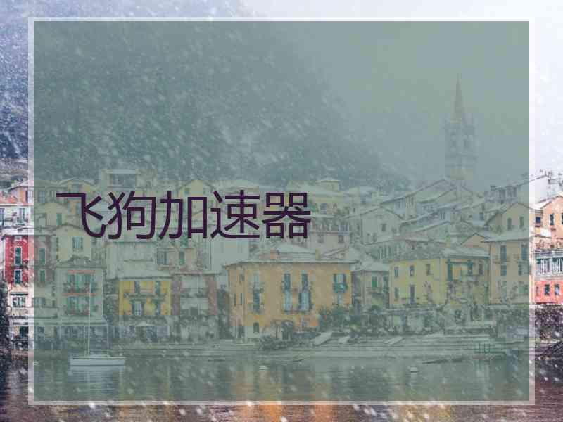 飞狗加速器