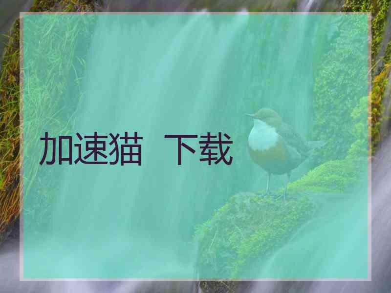 加速猫  下载