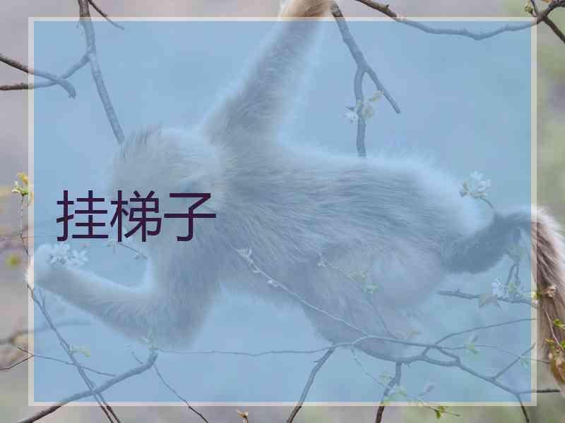 挂梯子