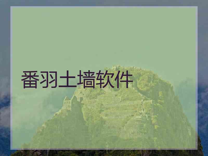 番羽土墙软件