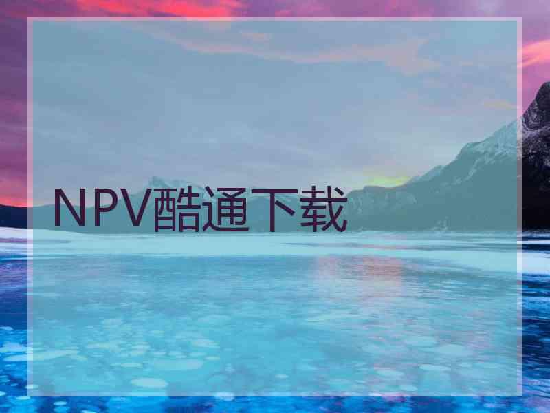 NPV酷通下载