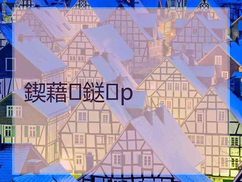 鍥藉鎹p