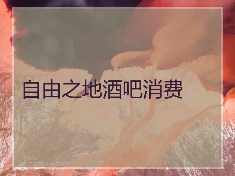 自由之地酒吧消费