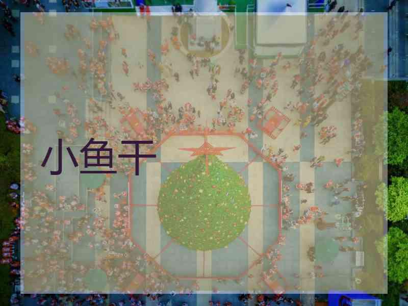 小鱼干
