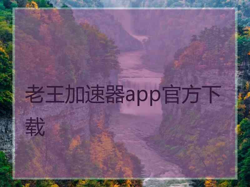 老王加速器app官方下载