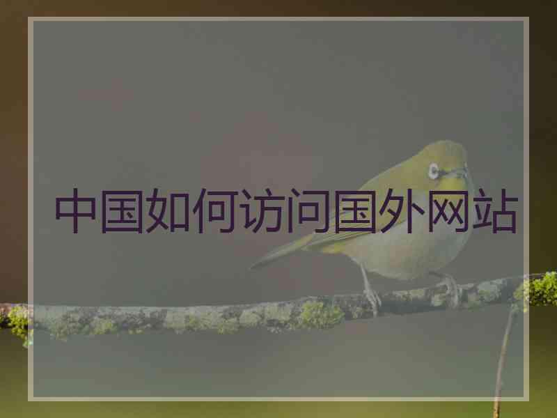 中国如何访问国外网站