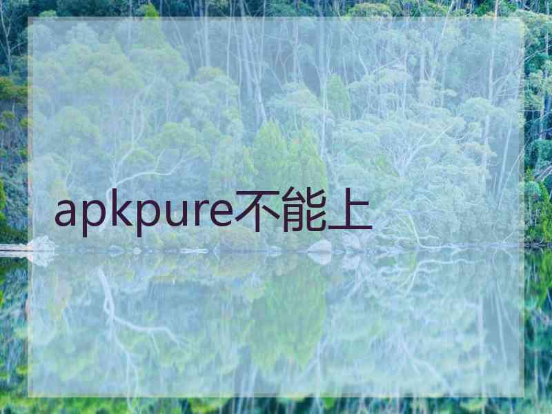 apkpure不能上