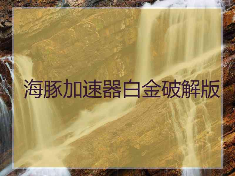 海豚加速器白金破解版