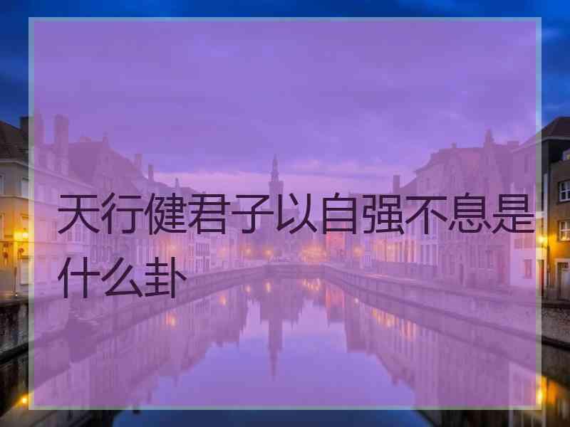 天行健君子以自强不息是什么卦