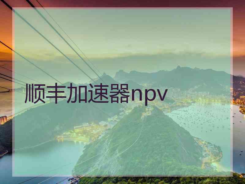 顺丰加速器npv