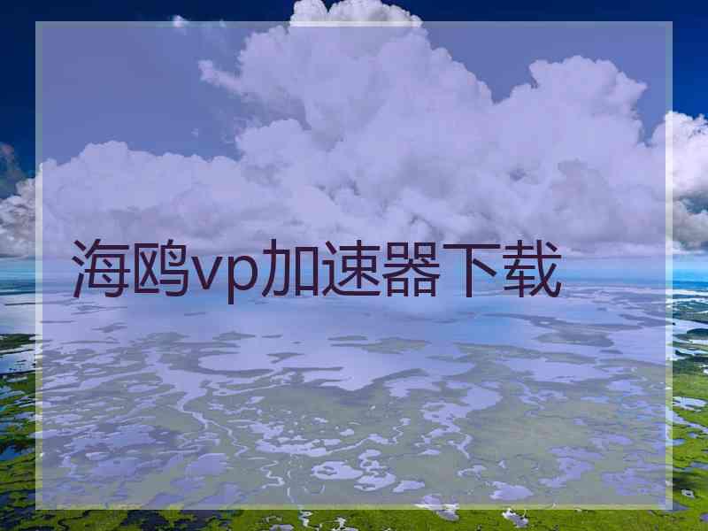 海鸥vp加速器下载