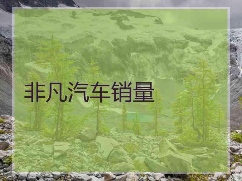 非凡汽车销量