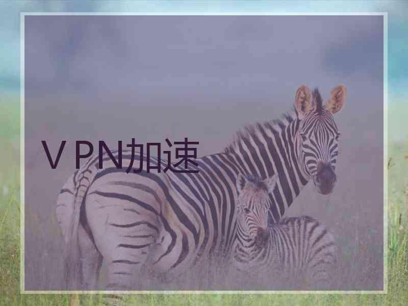 ⅤPN加速