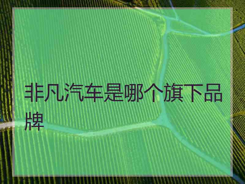 非凡汽车是哪个旗下品牌