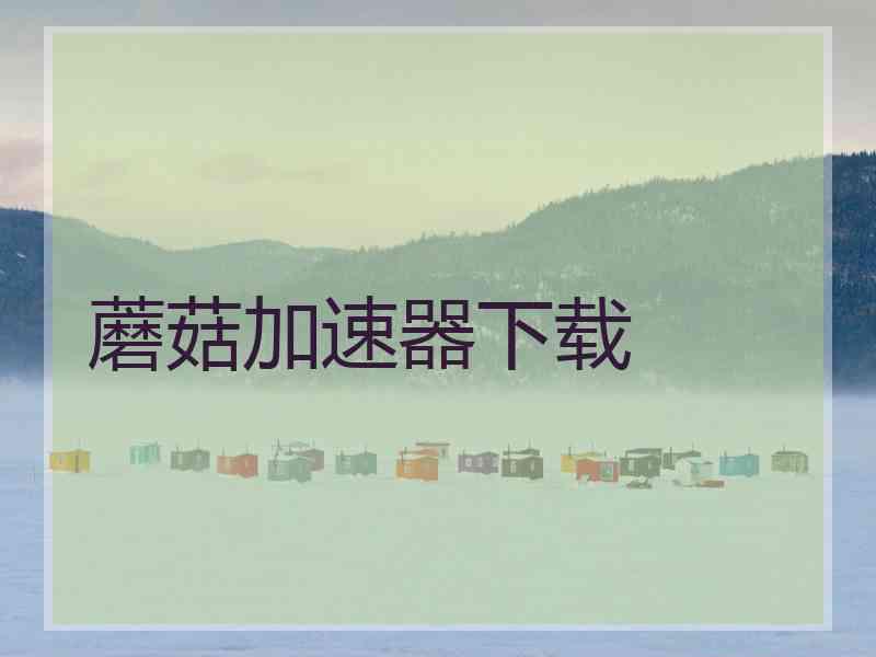 蘑菇加速器下载