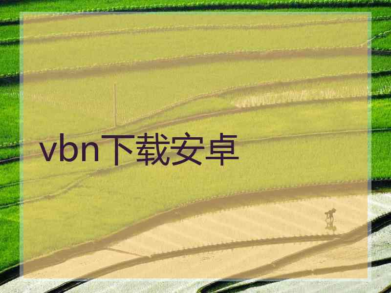 vbn下载安卓