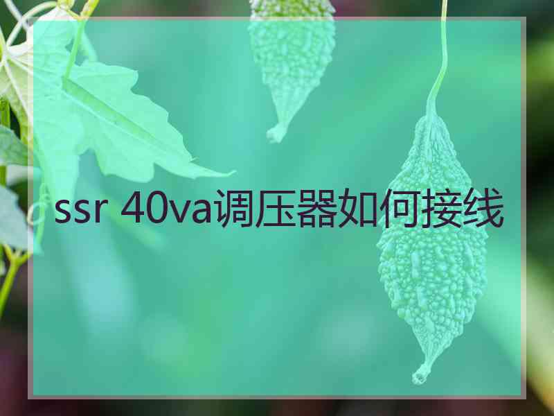 ssr 40va调压器如何接线