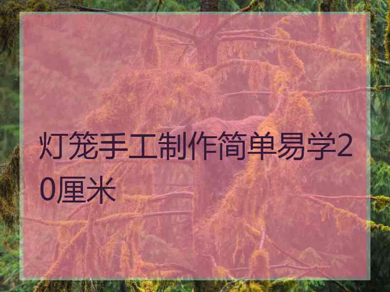 灯笼手工制作简单易学20厘米