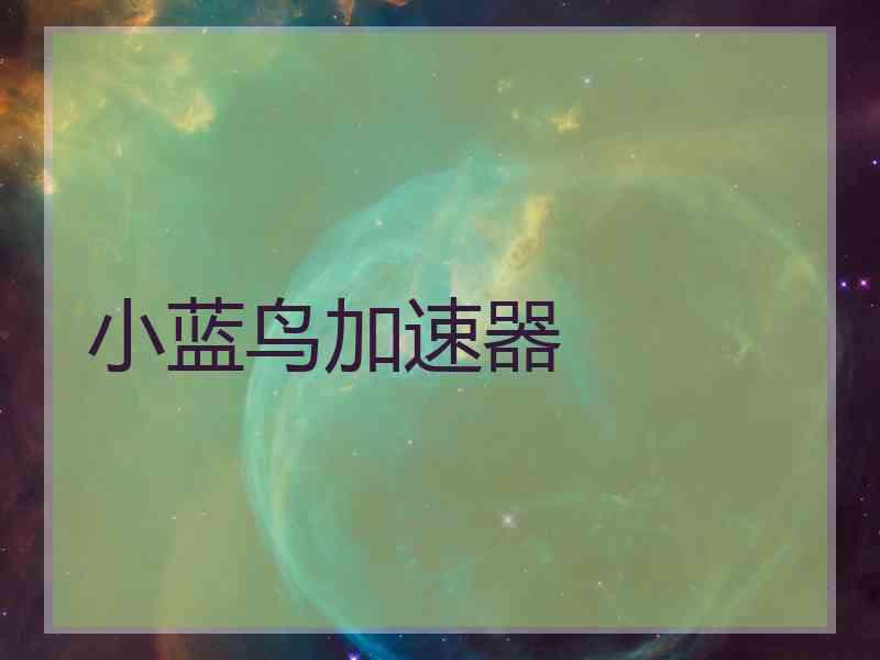 小蓝鸟加速器