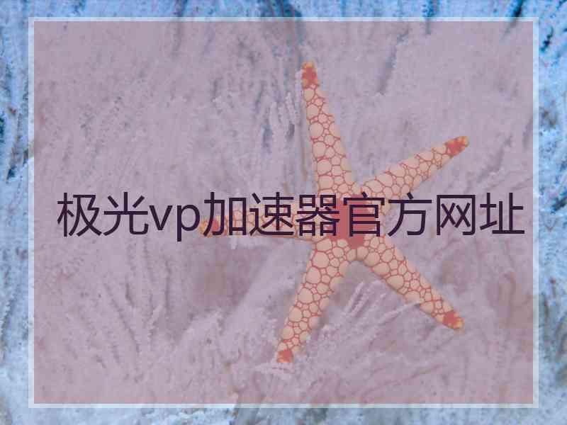 极光vp加速器官方网址