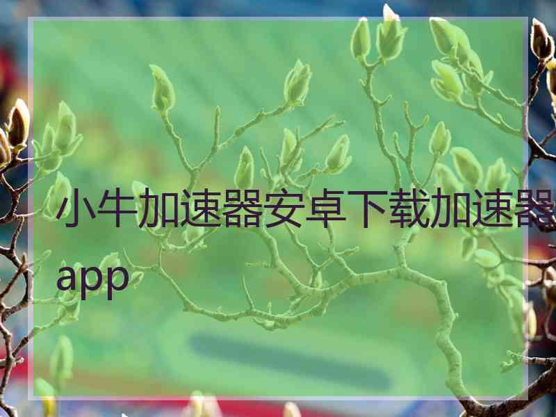 小牛加速器安卓下载加速器app