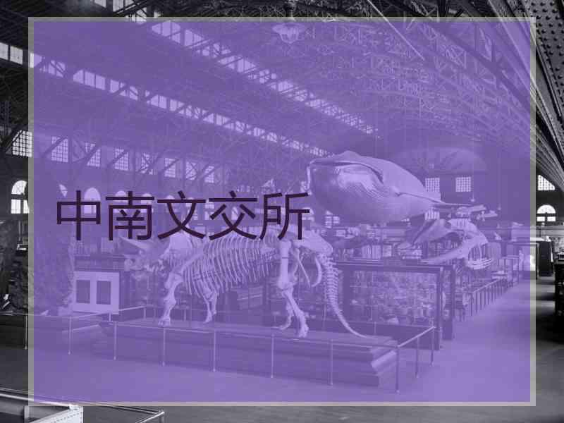 中南文交所