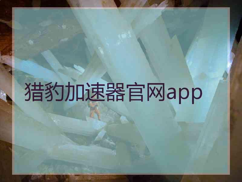 猎豹加速器官网app