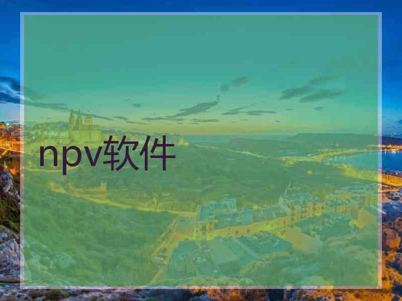 npv软件