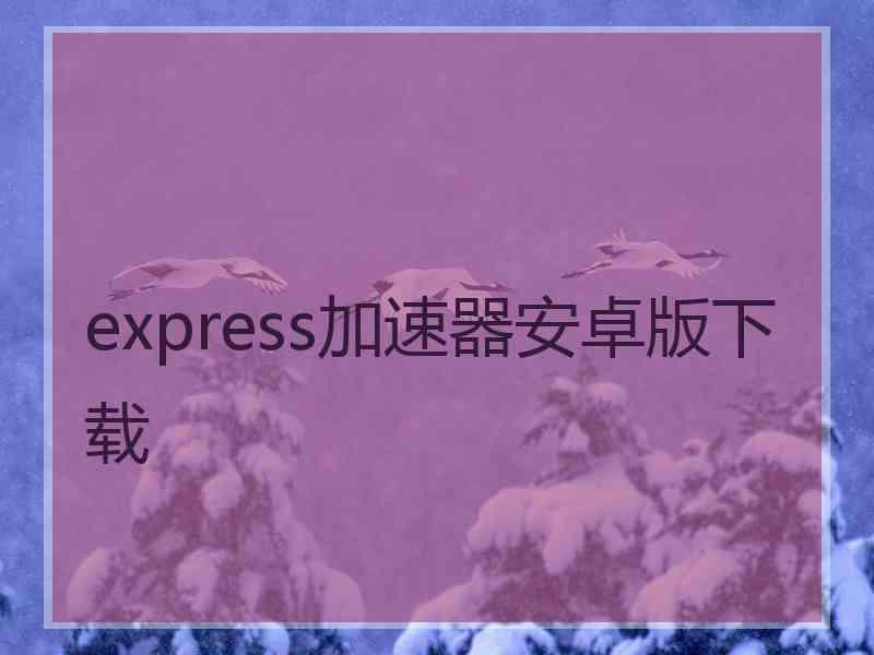 express加速器安卓版下载