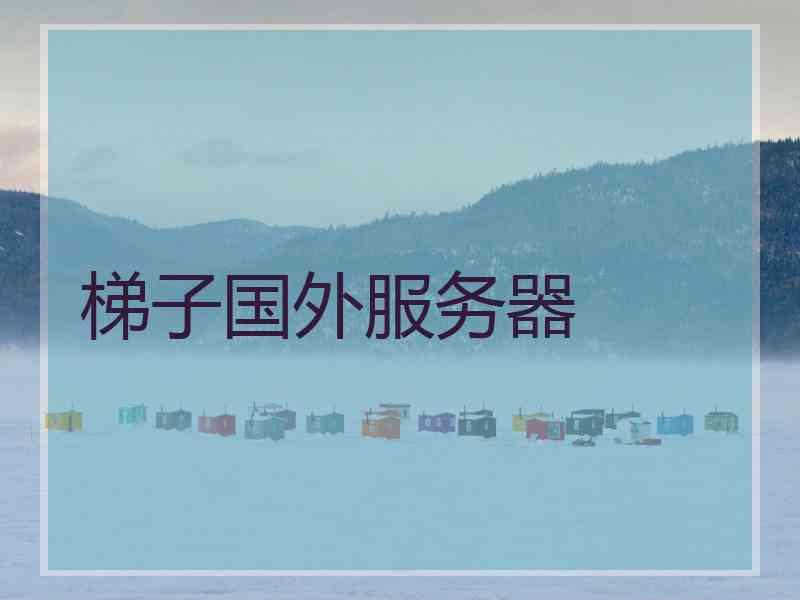梯子国外服务器