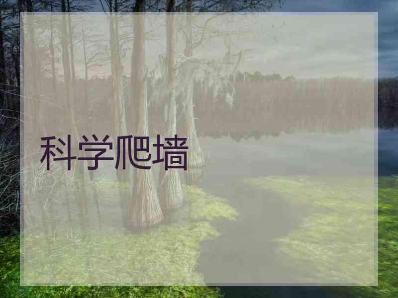科学爬墙