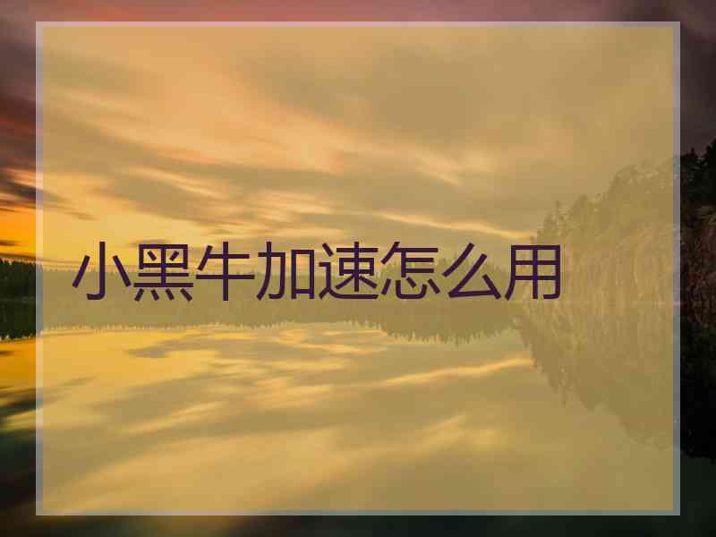 小黑牛加速怎么用