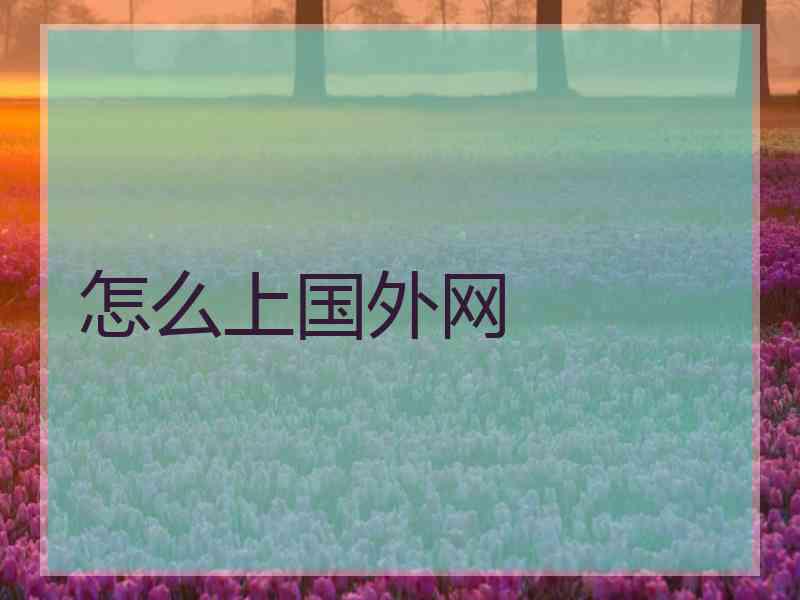 怎么上国外网