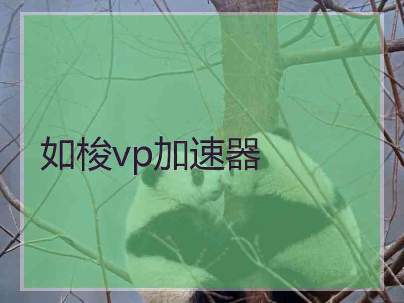 如梭vp加速器