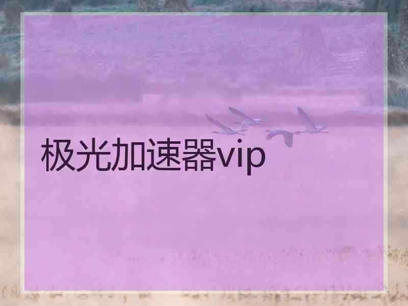 极光加速器vip