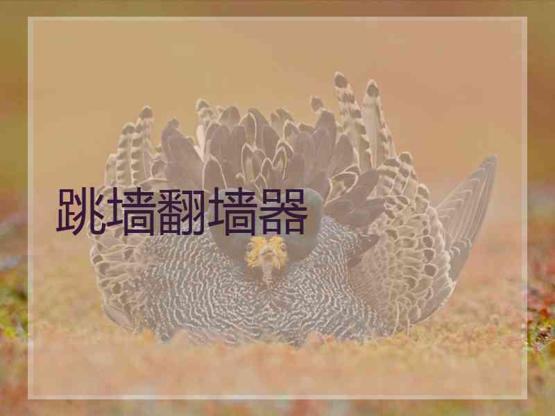 跳墙翻墙器