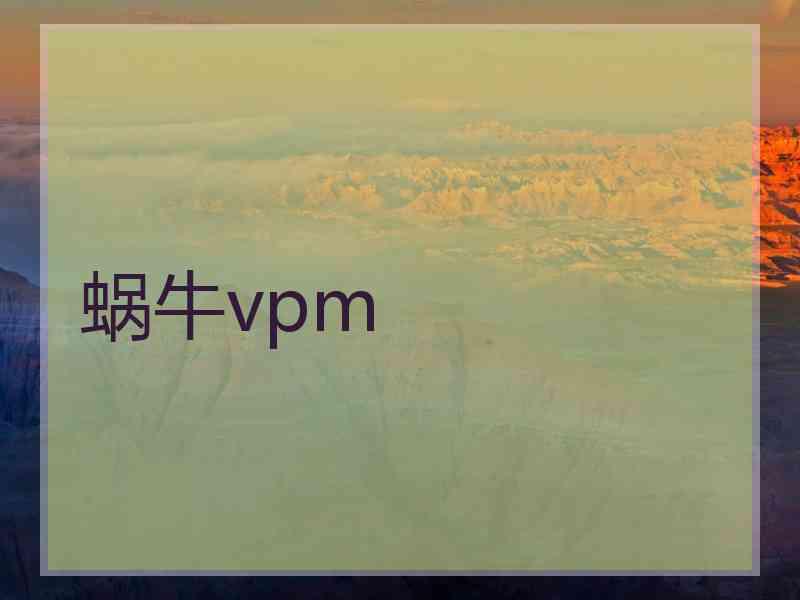 蜗牛vpm