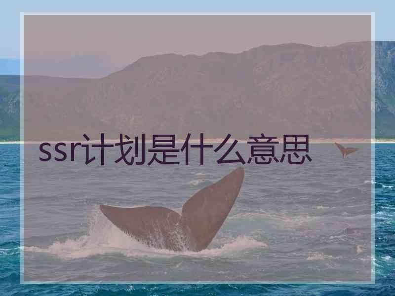 ssr计划是什么意思
