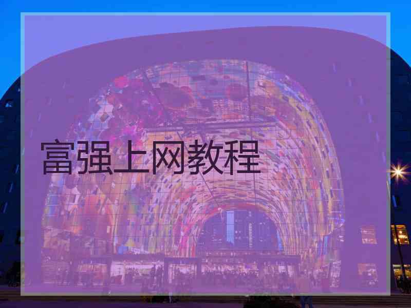 富强上网教程